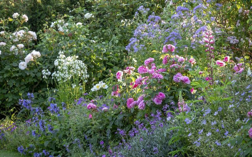 Gertrude Jekyll & Vanessa Bell: Women Who Shaped Gardens and Roses