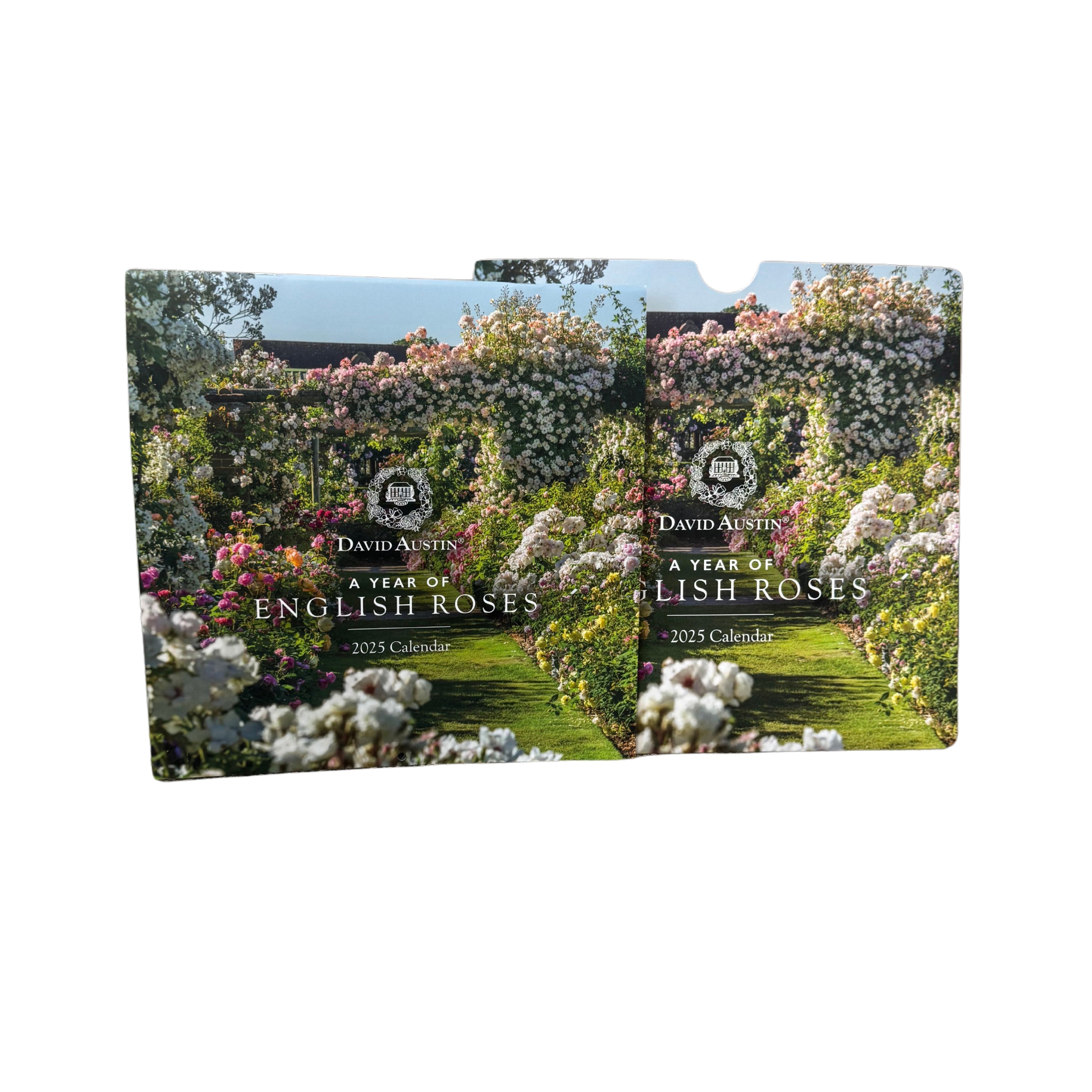 David Austin 2025 Wall Calendar