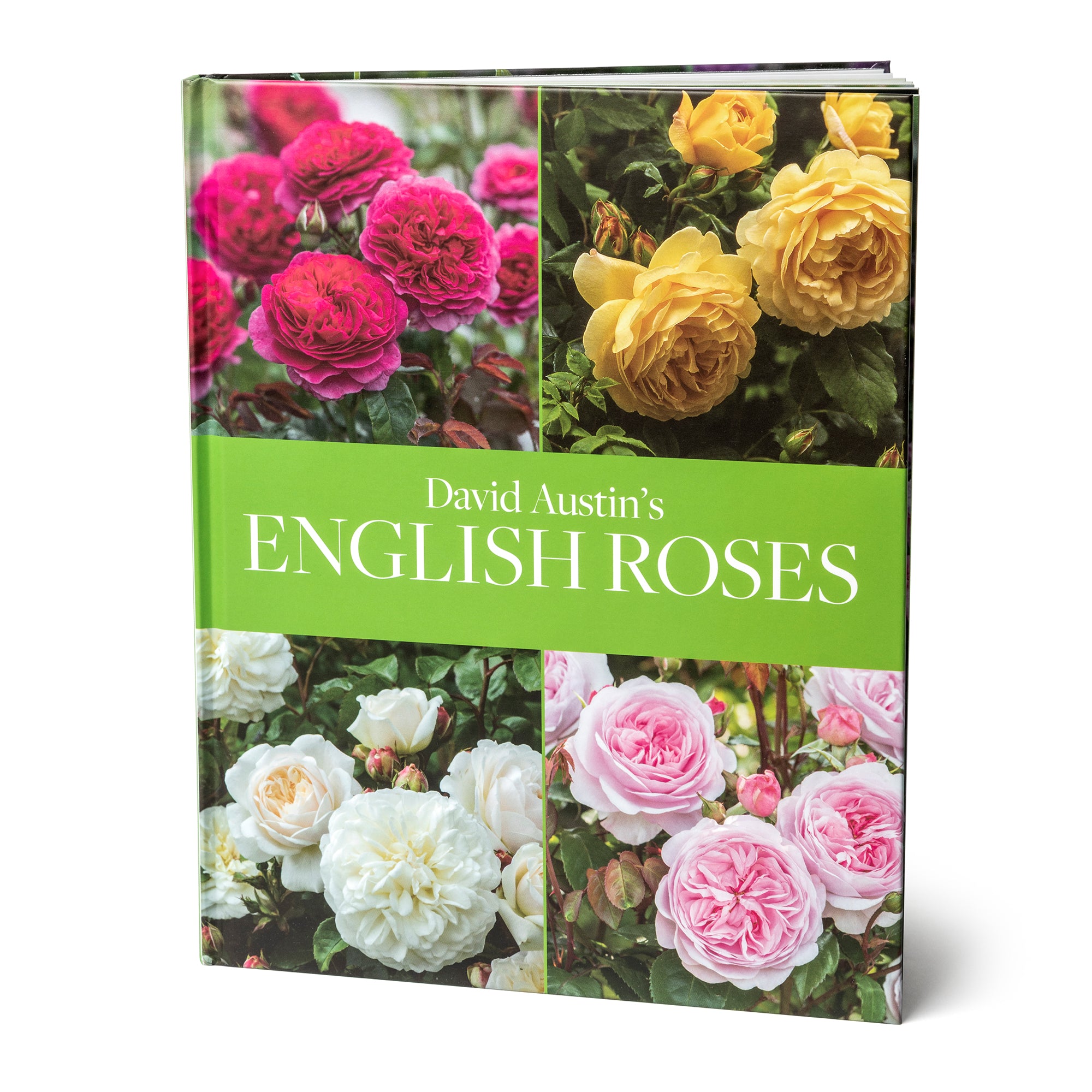 David Austin's English Roses